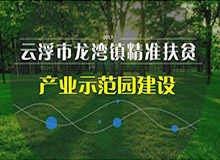 文炫農業農業有限公司成果報獎PPT設計制作