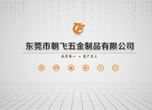 廣州朝飛公司簡介PPT 公司介紹PPT設計制作