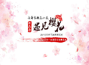 櫻花節(jié)PPT設計制作