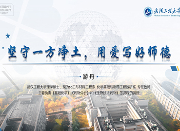 武漢工程大學PPT設計制作