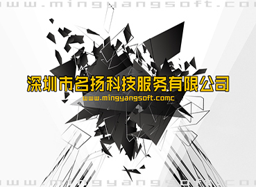 深圳名揚科技公司PPT設計制作