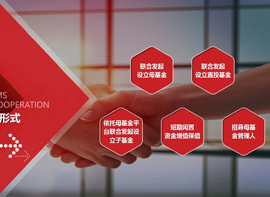 長江經(jīng)濟帶產(chǎn)業(yè)基金管理有限公司PPT展示 公司介