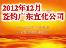 廣東宜化公司ppt制作  總結ppt
