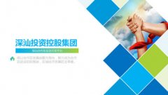 深汕投資控股集團有限公司介紹PPT制作 公司介紹