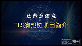 深圳澳邦鏈項目簡介商業計劃書BPPPT