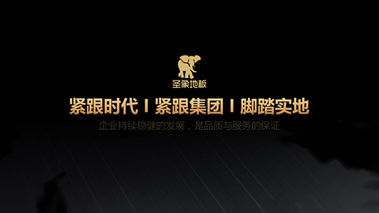 圣象地板 工作匯報(bào)ppt美化